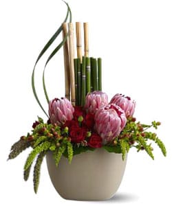 Жарден Флорист